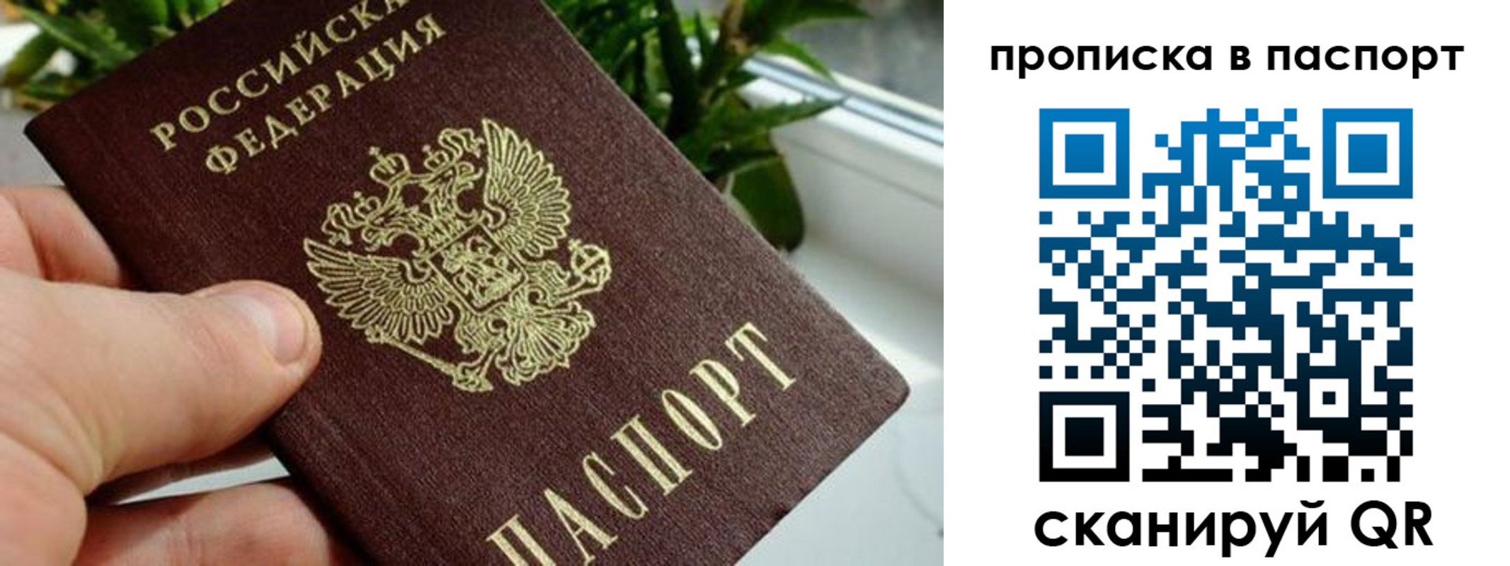 временная регистрация поиск в Старом Осколе